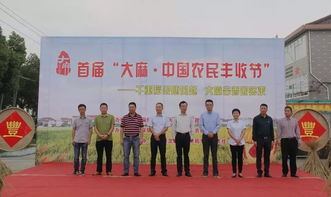 大麻稻田的新生機(jī) 農(nóng)副產(chǎn)品的多元開發(fā)