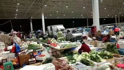 樂(lè)清市新地標(biāo)落成 占地58畝農(nóng)副產(chǎn)品批發(fā)市場(chǎng)12日盛大開(kāi)業(yè)