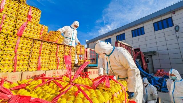 佛山南海建成消費(fèi)幫扶黔貨入粵集散地，助力優(yōu)質(zhì)農(nóng)產(chǎn)品流通